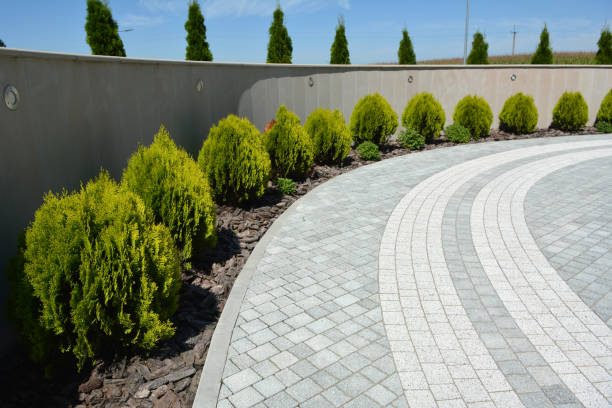 Best Driveway Paving Near Me  in Mogul, NV